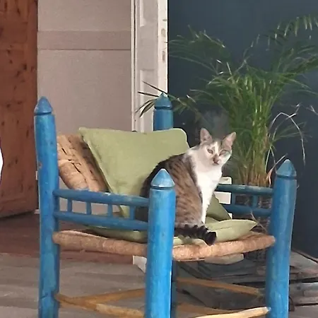 In Crusca Appartement *