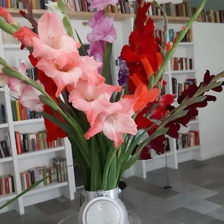 In Crusca Appartement *